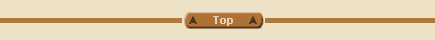 Top of Page