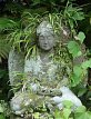 Buddhas of Kamakura
