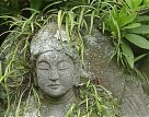 Buddhas of Kamakura