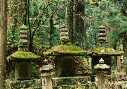 Moss-covered gravestones at Koyasan Monestary