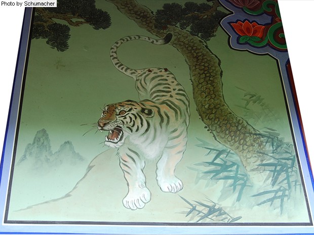 Tiger painting at Seokjongsa Temple. The tiger is one of four spiritual creatures (Sì Shòu 四獸) -- four celestial emblems -- each guarding a direction on the compass in old China. The tiger corresponds to the direction WEST, the season fall, the color white, wind, the element metal, and the virtue righteousness.
