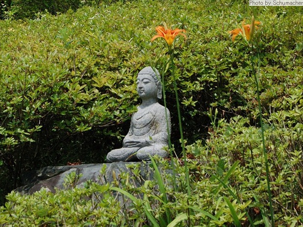 Buddha statue in garden of Seokjongsa Temple.