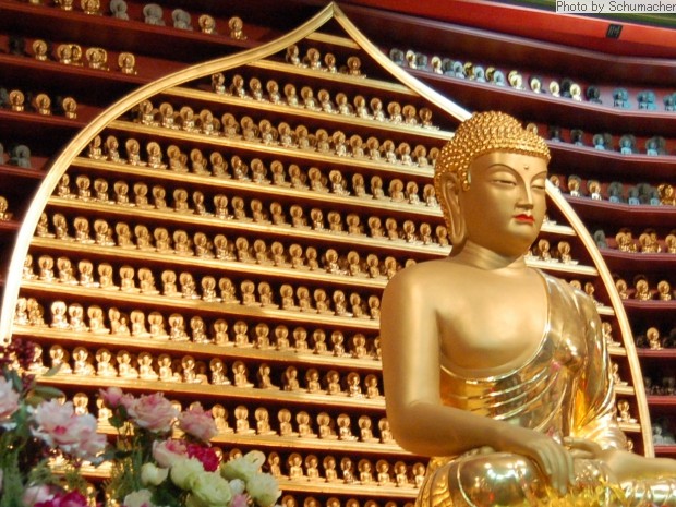 Śākyamuni Buddha, Int'l Seon Center, Dongguk University. The tiny statues are votive offerings by devotees.