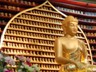 Śākyamuni Buddha, Int'l Seon Center, Dongguk University. The tiny statues are votive offerings by devotees.