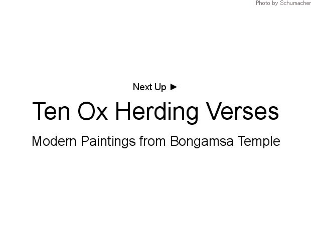 Ten Ox Herding 十牛 Paintings at Bongamsa Temple. Also translated as Ten Bulls.