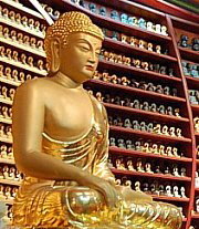 Historical Buddha, Sakyamuni
