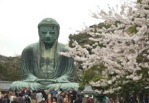 Great Buddha of Kamakura (Kamakura Daibutsu) -- Cherry Blossom Season