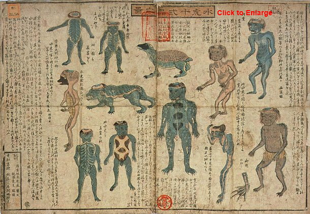 Kappa illustrations from the Suiko Junihin no zu, late Edo period.