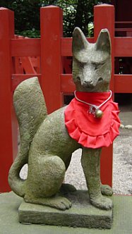 Fox at Tsurugaoka Hachimangu Shrine, Kamakura City