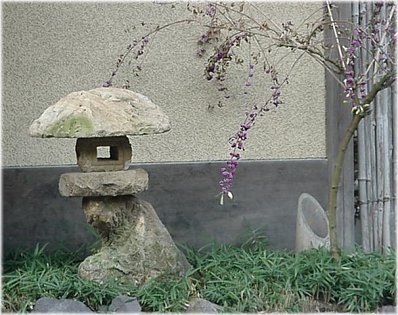Stone with Blooming Murasaki Shikibu Tree