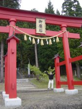 Gates of Shinto Shrines are often red colored