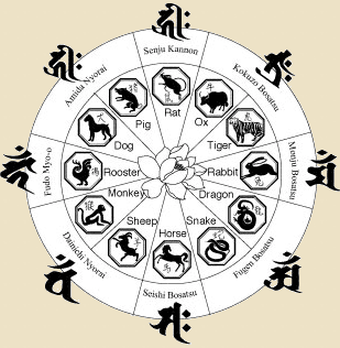 12 Zodiac Animals Zodiac Calendar Buddhism in Japan and China