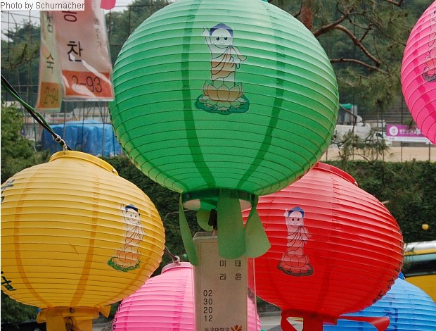 Decorative votive lanterns at Dongguk University which depict the Buddha following his birth. 