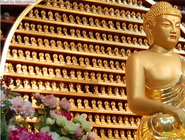 Śākyamuni Buddha. Int'l Seon Center, Dongguk Univ.. Devotees buy a tiny effigy, make a prayer (wish), and donate it to the center.
